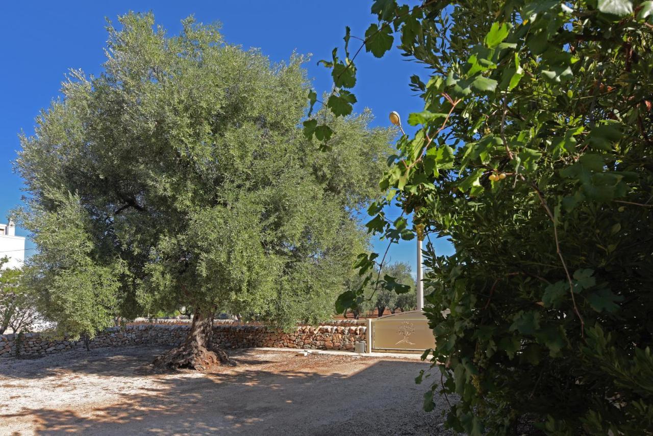 הוילה אוסטוני Dimora Torre Bianca מראה חיצוני תמונה